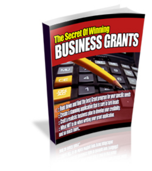 Product picture The Secrets Of Winning Business Grants WIth PLR!