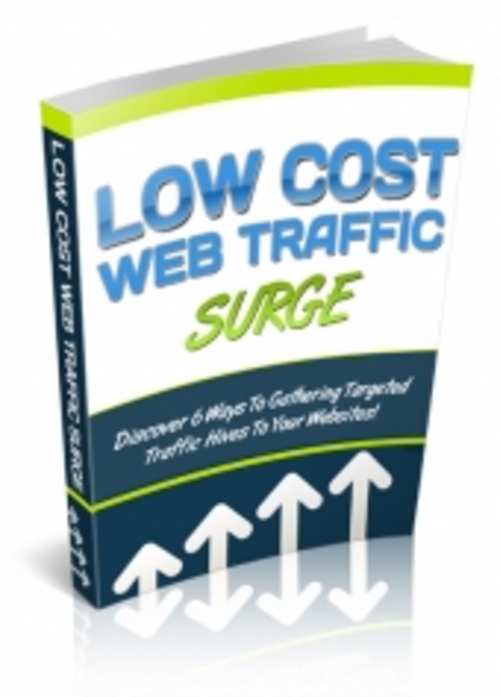 Product picture Low Cost Web Traffic Surge With PLR!