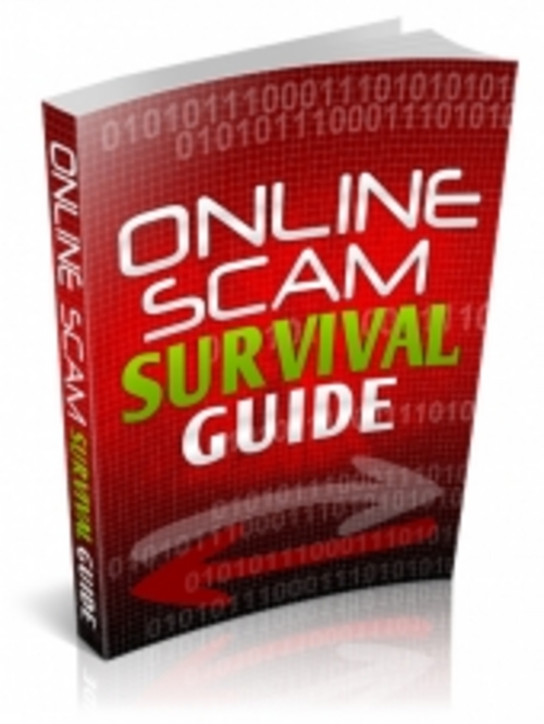 Product picture Online Scam Survival Guide With PLR!
